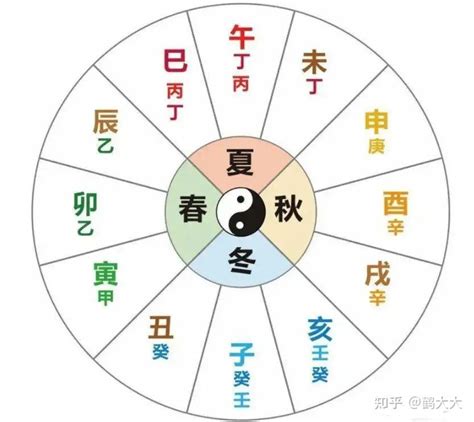 四象代表